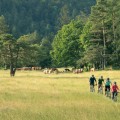 Mountain bike adventure Slovenia